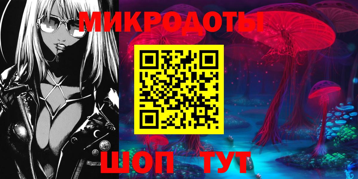 Псилоцибиновые грибы Psilocybine cubensis Мурино